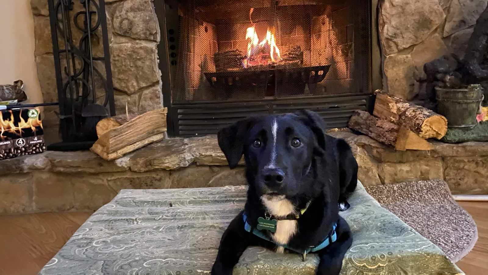 A warm stone fireplace inside Serenity cabin with a dog resting nearby
